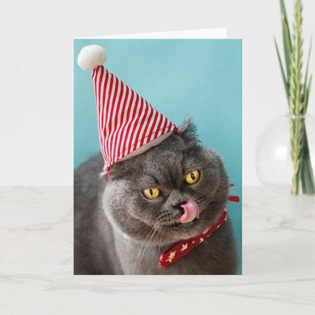 Carte Humour de Noël sur les chats (Devant)