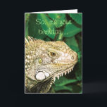 Carte Humour drôle animal d'anniversaire<br><div class="desc">Les cartes d'anniversaire drôles pour l'animal, l'amant de reptile et d'iguane, comportant une fin vers le haut de vue d'un iguane vert, avec les mots "ainsi, c'est votre anniversaire" sur l'avant et le "cool ... .. où est le gâteau ?" sur l'intérieur. CUSTOMISEZ-LE : Ajoutez votre propre message ou légendes...</div>