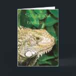 Carte Humour drôle animal d'anniversaire<br><div class="desc">Les cartes d'anniversaire drôles pour l'animal, l'amant de reptile et d'iguane, comportant une fin vers le haut de vue d'un iguane vert, avec les mots "ainsi, c'est votre anniversaire" sur l'avant et le "cool ... .. où est le gâteau ?" sur l'intérieur. CUSTOMISEZ-LE : Ajoutez votre propre message ou légendes...</div>
