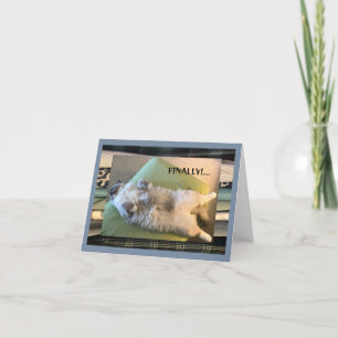 Carte Humour, drôle et stupide