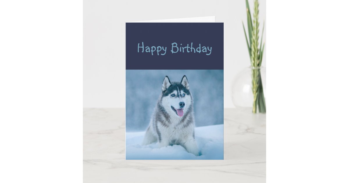 Carte Humour Enroue De Chien De Joyeux Anniversaire Zazzle Fr