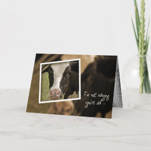 Cartes Vache D Anniversaire Zazzle Fr