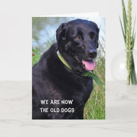 Carte Humour Noir D Anniversaire De Labrador Retriever Zazzle Fr