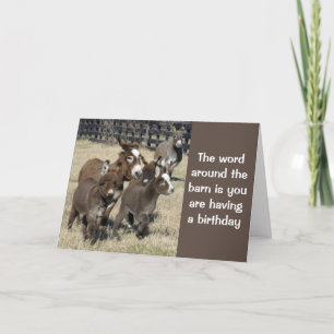 CARTE **HUMOUR POUR LES 50 ANS PAR DES ÂNES OU MOINS**