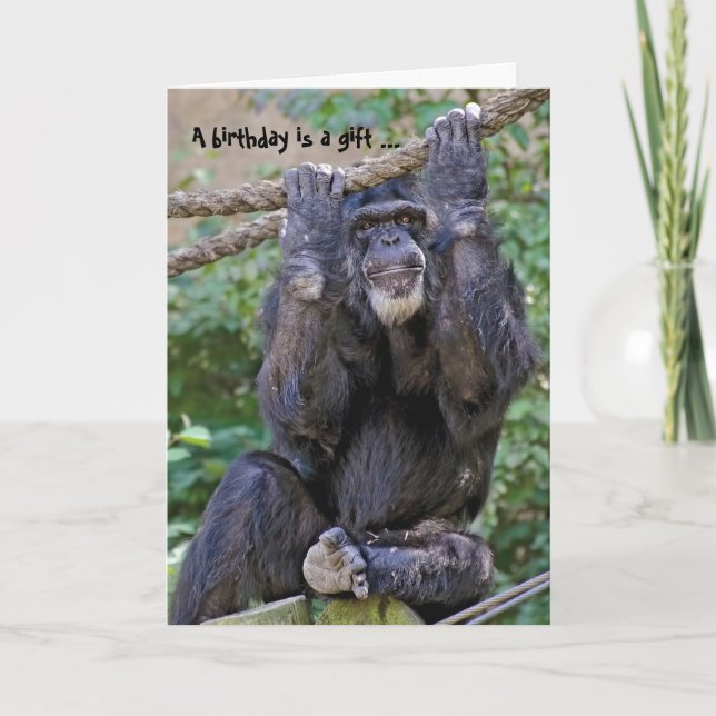 Carte Humour sauvage de Chimp (Devant)