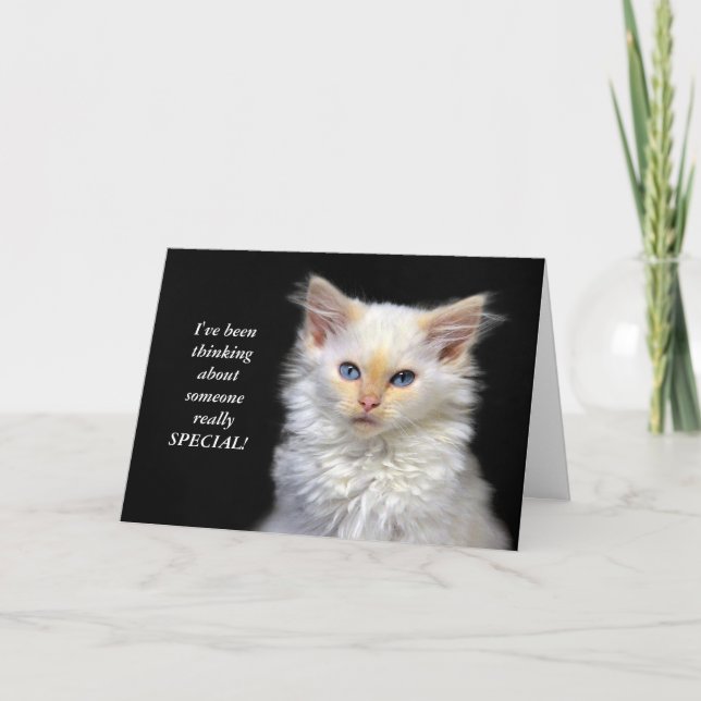 Carte Humour siamois d'anniversaire de chaton (Devant)