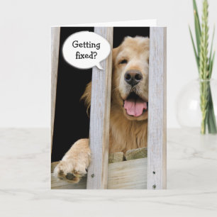 Carte Humour sur la vasectomie