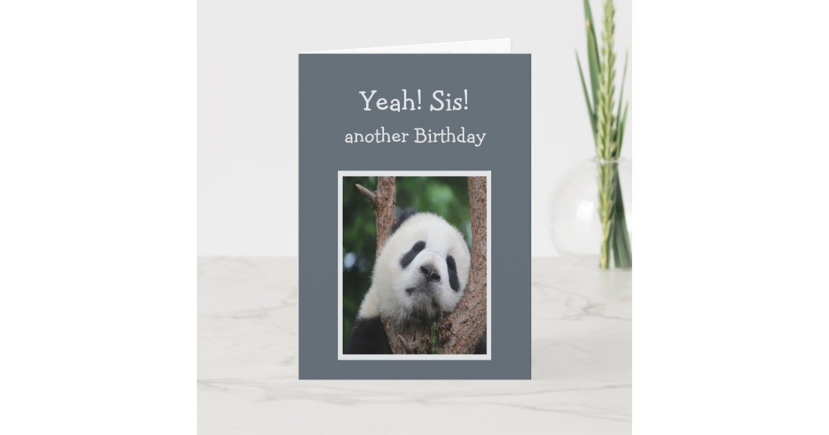 Carte Humour Triste De Soeur De Joyeux Anniversaire Zazzle Fr