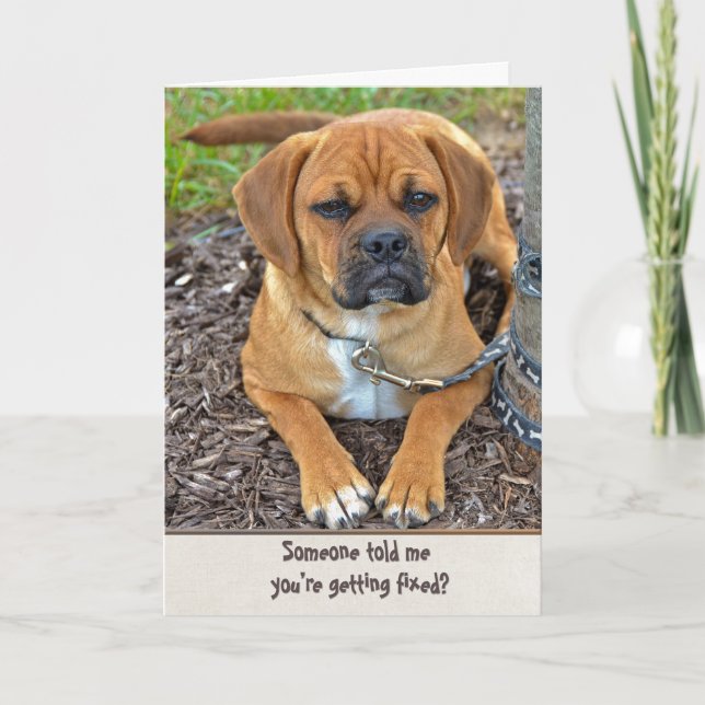 Carte Humour Vasectomie (Devant)