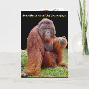 Carte Humour Vasectomie Se Bien Bientôt