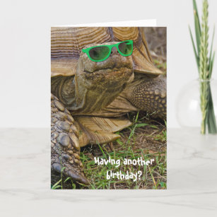 Cartes Drole Tortue D Anniversaire Zazzle Fr