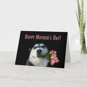 Carte Husky sibérien et tulipes Joyeuse fête des mères