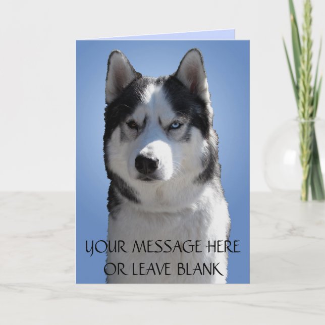 Carte Husky Sibérienne / Carte Malamute Alaskan vi (Devant)