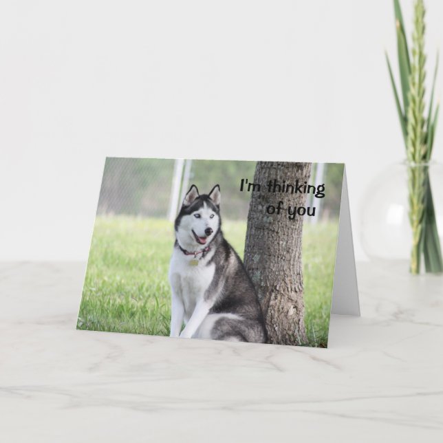 Carte Husky Thinking of You Greeting Card (Devant)