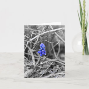 Carte Hyacinthe au raisin solitaire Sélectionner la coul