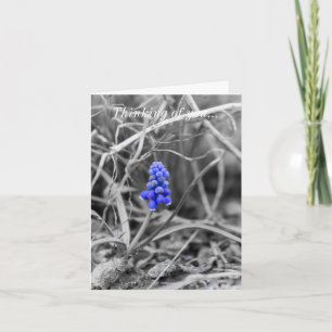 Carte Hyacinthe au raisin solitaire Sélectionnez la coul