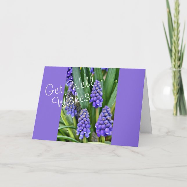 Carte Hyacinthes de raisins - personnaliser pour toute o (Devant)