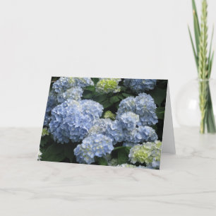 Carte Hydragea bleu vide