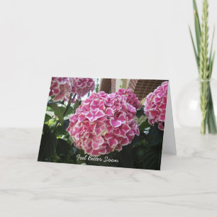 Carte Hydrangea Get Well Card