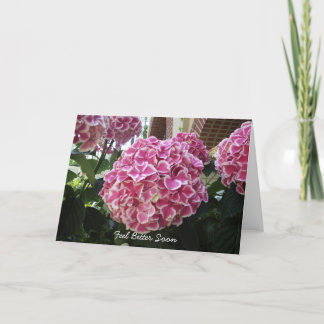 Carte Hydrangea Get Well Card