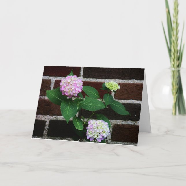 Carte hydrangea on brick (Devant)
