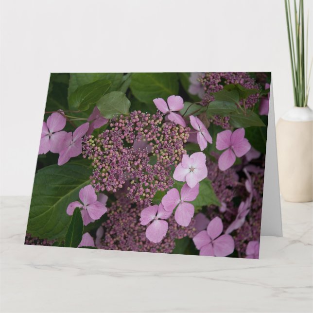 Carte Hydrangea rose (Devant)