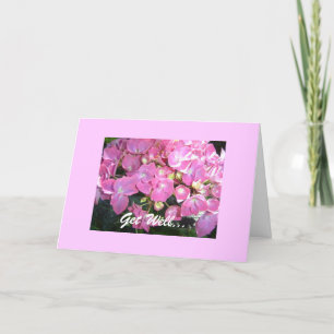 Carte Hydrangea Rose Pour un Prompt Rétablissement