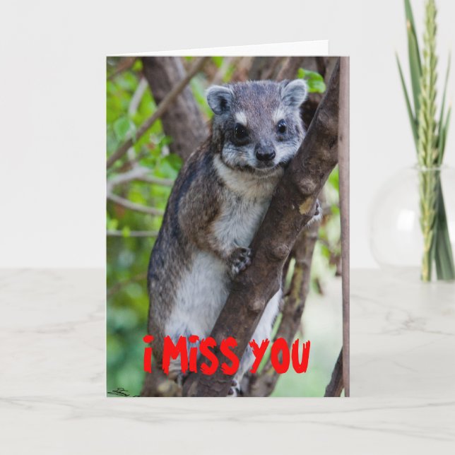 Carte Hyrax d'arbre, TU ME MANQUE (Devant)