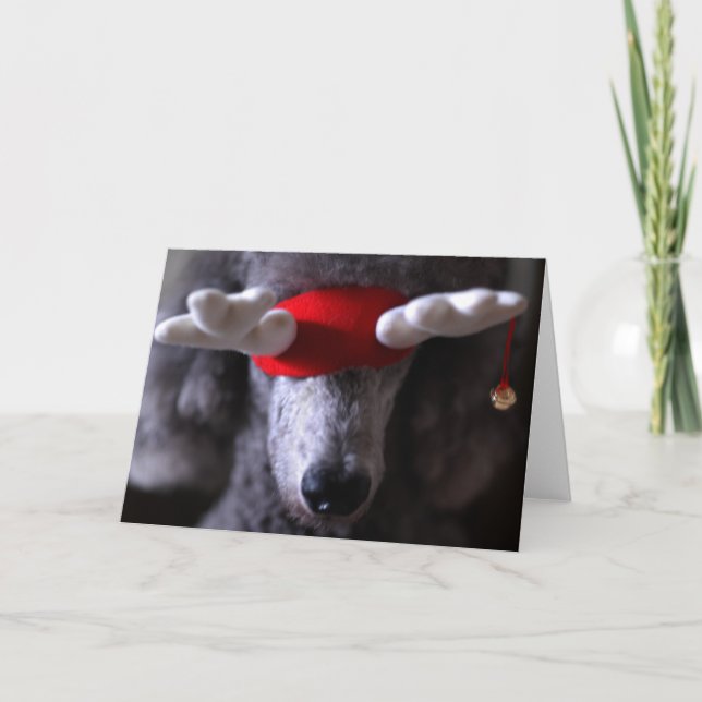 Carte I de vacances de Reindoodle (Devant)