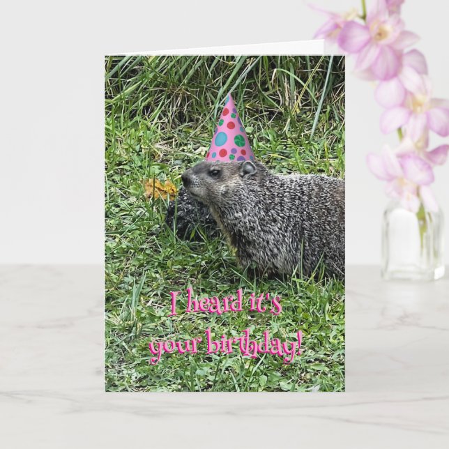 Carte I heard it's your birthday, groundhog cards (Orchidée)