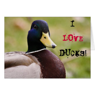 Carte I Love Ducks