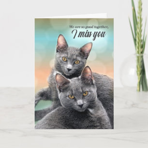 Carte I Miss You Two Gray Cats
