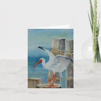 Carte IBIS blanc par Peggy Allen