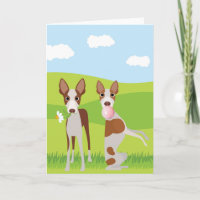 Ibizan Hound Dog Animal Buble Gum