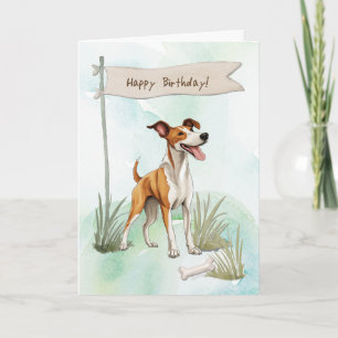 Carte Ibizan Hound Dog En Plein Air Sous Symbole D'Anniv