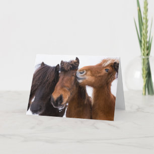 Carte Icelandic Horse Friends, Iceland