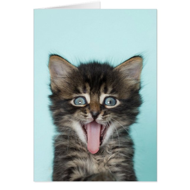 Carte idiote de chaton de MERLIN (Devant)
