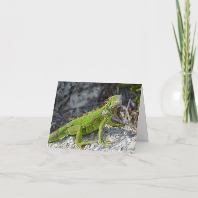 Carte Iguana dit que tu me manques salut (Devant)
