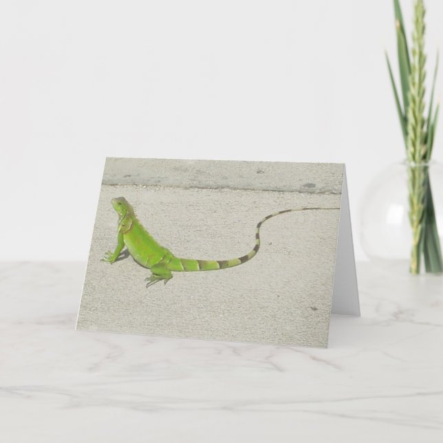 Carte Iguane sauvage (Devant)