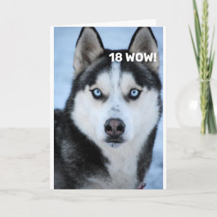 Carte IL DIT POURQUOI OH POURQUOI "21E ANNIVERSAIRE" car