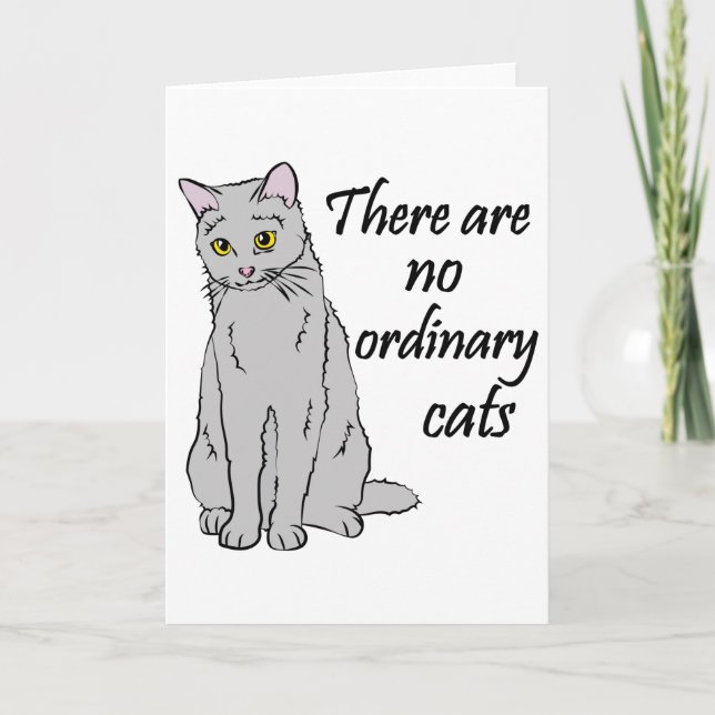 Carte Il N'Y A Pas De Chats Ordinaires (Devant)