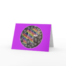 Illumination des éléphants