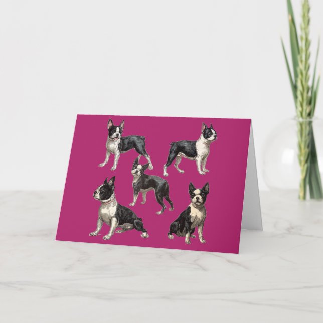 Carte Illustration de Boston Terrier (Devant)