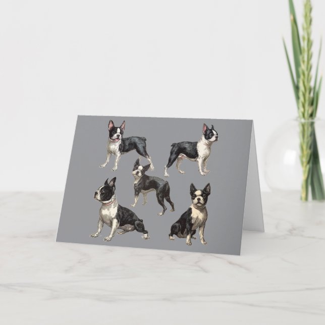 Carte Illustration de Boston Terrier (Devant)
