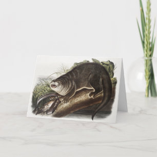 Carte Illustration de Canada Otter (Lutra Canadensis)