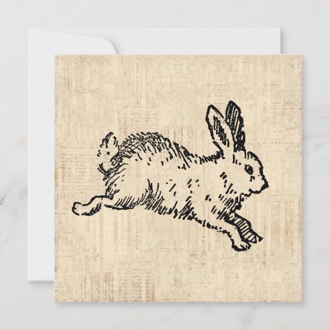 Carte Illustration de lapin vintage avec écriture artist (Devant)
