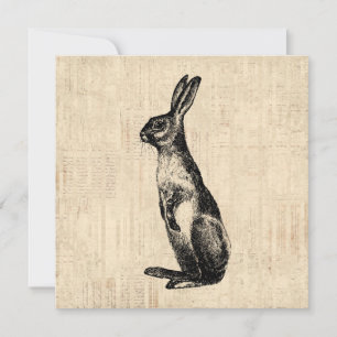Carte Illustration de lapin Vintage vieux lapin