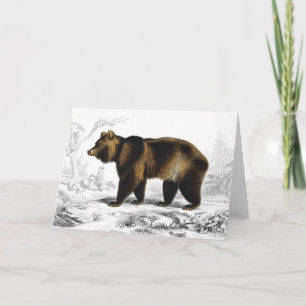 Carte Illustration de livre vintage de l'ours brun 1849