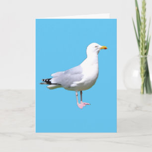 Carte Illustration de mouette côtière, plage et nature