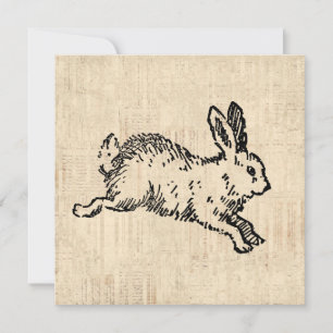 Carte Illustration de script vintage de lapin de bunny m
